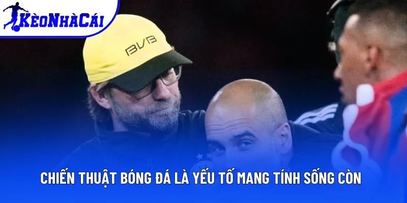 Chiến thuật bóng đá là yếu tố mang tính sống còn Chiến thuật bóng đá là yếu tố mang tính sống còn